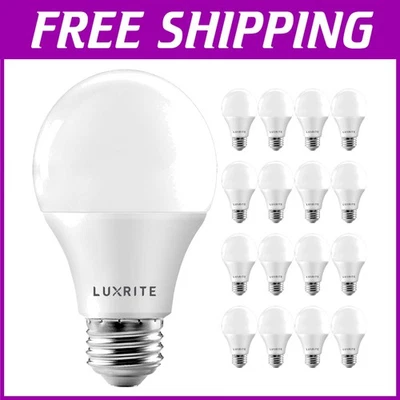 Indoor Outdoor LED Bulbs 60W Equivalent - 16 Pack - Image 1 of 4
