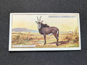 1924 Player Natural History Card # 4 Sable Antelope (VG/EX) - Picture 1 of 3