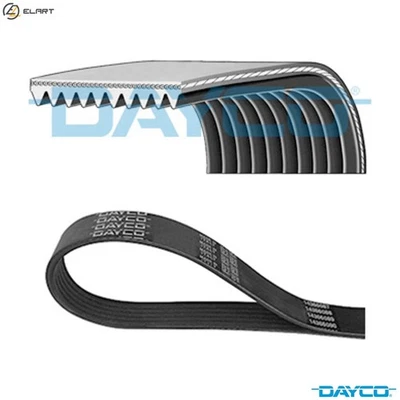 VRIBBED BELT 10PK1350HD FOR VOLVO D9A260/D9A300/D9A340/D9A380/D9B300 9.4L 6cyl - Image 1 of 4