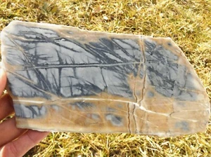 DIG-N-UTAH: SLAB PICASSO MARBLE AGATE ROUGH # L 375 - Picture 1 of 3