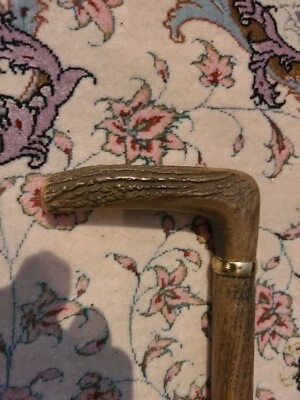 ANTIGUO 1900 36 pulgadas de largo cuerno hombre bastón para caminar Foto 1 de 3