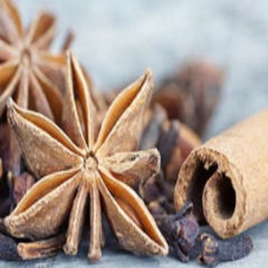 Cinnamon Clove Fragrance Oil Candle/Soap Making Supplies *Free Shipping * - Picture 1 of 1