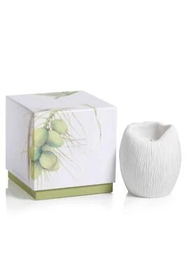 Vela de palma Zodax Apothecary Guild Island, 6,9 oz Foto 1 de 4