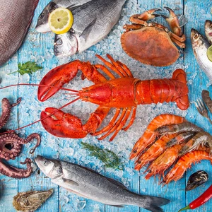 Servietten Seafood Hummer Krabben Fisch 20 Stück - Bild 1 von 3