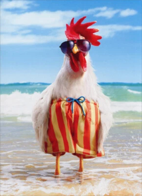 Rooster Wears Swimsuit Funny Birthday Card - Greeting Card by Avanti Press