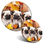 Mouse Mat & Coaster Set - Pug Puppies Puppy Dog Pugs  #8217