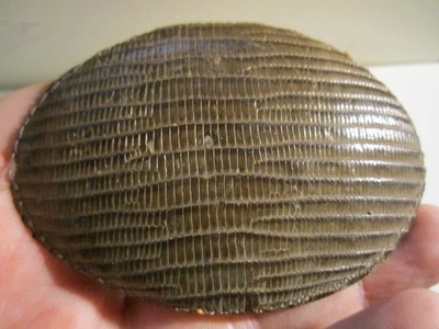 VINTAGE GENUINE SNAKE SKIN BELT BUCKLE - GW-26 - Image 1 of 3