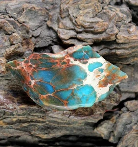 Green Carico Lake Turquoise 27,70 Ct Natural Polished Rough AGI Certified T14436 - Bild 1 von 7