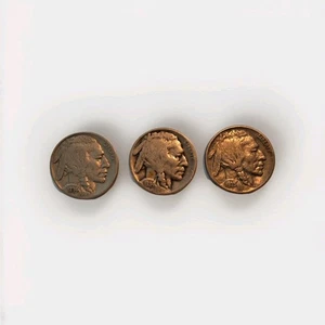 Lote de monedas de Estados Unidos 1934D 1935 Buffalo Nickel - Fecha completa - Imagen 1 de 2