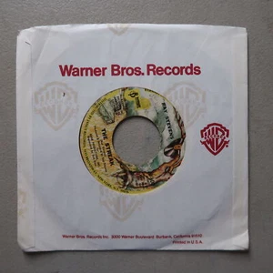 RAY STEVENS THE STREAK/YOU'VE GOT THE MUSIC INSIDE VINYL 45 JANUS VG 14-40 - Picture 1 of 3