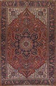 Vintage Vegetable Dye Heriz Handmade 10x13 ft Area Rug Geometric Oriental Carpet