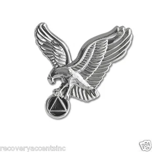 "Pin de solapa AA Silver Eagle de 1" - Imagen 1 de 2