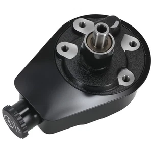 Bomba de dirección asistida para Chevrolet K5 Blazer 1980-1986 207920 - Imagen 1 de 7