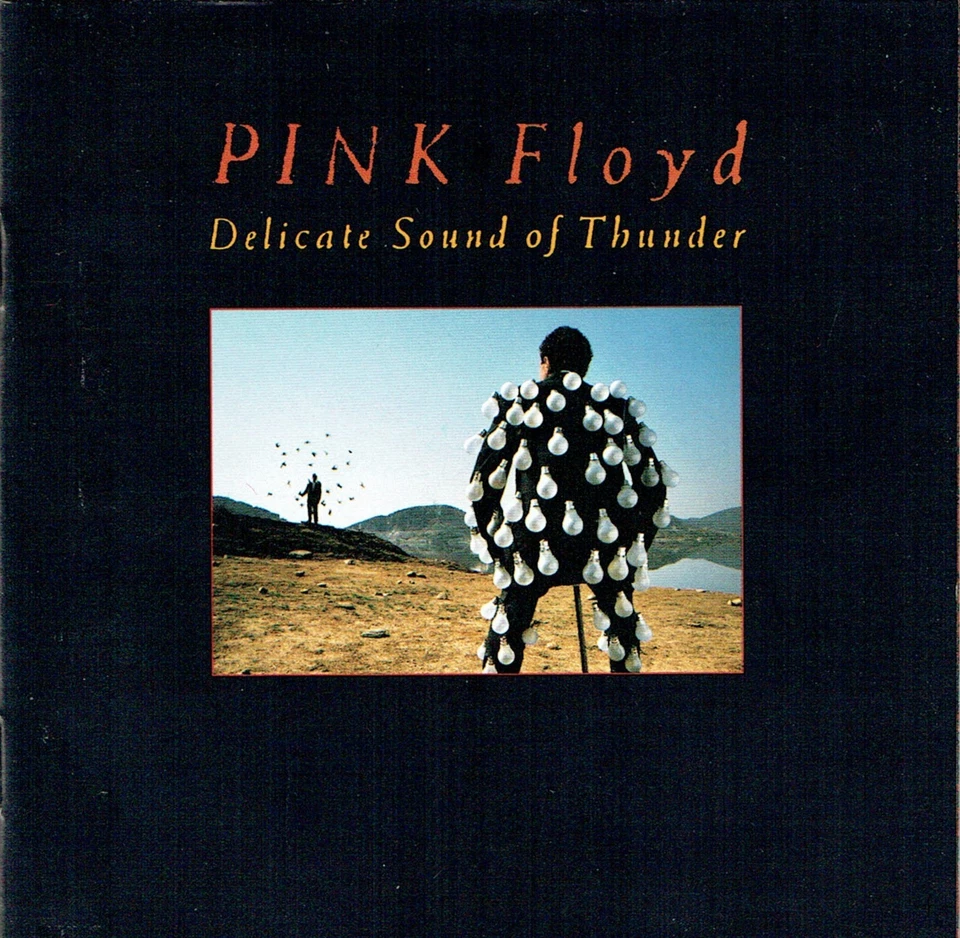 (2CDs) Pink Floyd - Delicate Sound Of Thunder - Time, Money, Learning To Fly - Bild 1 von 2