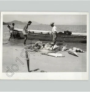 PESCADOR limpia pila de tiburones muertos en playa en Brasil 1957 foto de prensa - Imagen 1 de 2