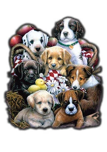 TRANSFER PER STAMPA MAGLIETTA T-SHIRT CAGNOLINI CANI! - Picture 1 of 1