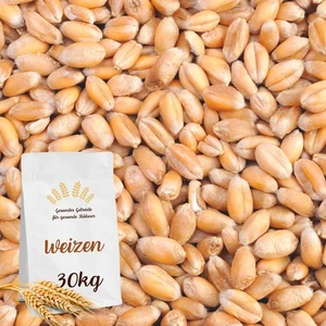 Weizen Futterweizen Geflügelfutter Hühnerfutter Vogelfutter Körner Hühner 30kg - Bild 1 von 9