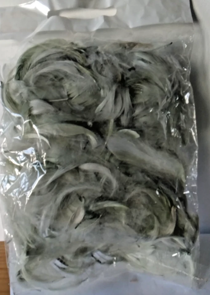 Hühner-Federn blaßgrün Packung - Bild 1 von 1