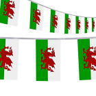 30 Flag Wales Welsh 9m Bunting St Davids Day Dragon Banner Decoration Garland &