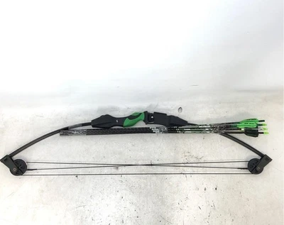 Arco composto de arco e flecha Barnett Banshee quad com flechas - Imagem 1 de 4