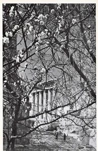 Baalbek International Festival Lebanon Vintage Postcard - Bild 1 von 2