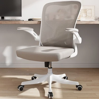 Silla de oficina de malla transpirable: brazos lumbares y abatibles Foto 1 de 4