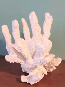 3.2 LB Specimen Natural White Branch Acropora Coral Fossil Aquarium 8 x 6 Vtg - Bild 1 von 9