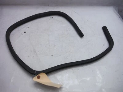 Toyota Tundra 2003 pasajero sello de tira climática derecha fabricante de equipos originales 2000-2006 Foto 1 de 4