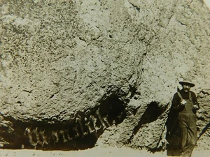 Monolith Felsen riesiger Felsenmann posierte mit Echtfoto Vintage Postkarte RPPC Velox - Bild 1 von 6