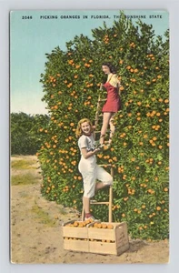 Dos encantadoras postales de lino Florida Sunshine para damas en una escalera recogiendo naranjas - Imagen 1 de 2