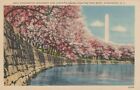 Washington Monument und Kirschblüten aus dem Gezeitenbecken, Washington, D.C.