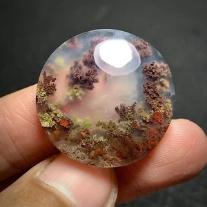 Scenic Moss Agate Cabochon 25x25x6.5mm High Quality 29.5 ct - Picture 1 of 5