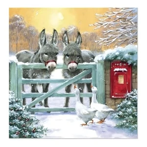 Charity Christmas Cards Two Donkeys Sparkle - Pack 5 - Picture 1 of 1