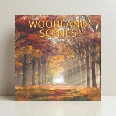 2026 Square Calendar Woodland Scenes 16 Month Age UK Charity Wall Calendar NG