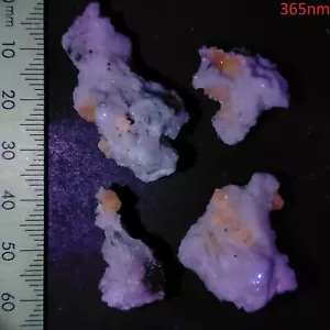 Apatite UV reactive purple Fluorapatite mineral specimens bundle lot 94.6ct - Foto 1 di 7
