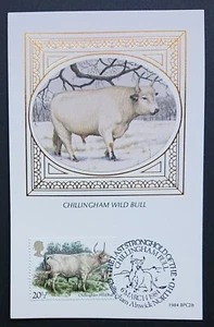 G.B. BENHAM F.D.C. POSTCARD - CHILLINGHAM WILD BULL 1984 - Picture 1 of 3