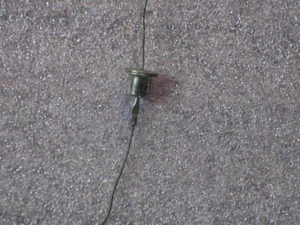 1N2856 Diode,  - Picture 1 of 1