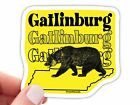 GATLINBURG TENNESSEE Sticker | Grizzly Bear | Family Vacation | Laptop Decal