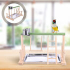  Stojak na papugę zabawka świąteczny prezent dla zwierząt domowych klatka dla ptaków stojaki drewno okoń drewno lite