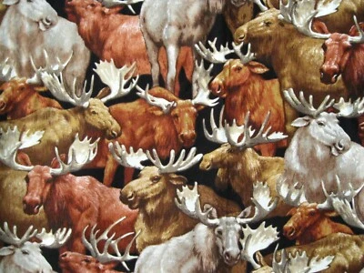Moose Quilt Fabric 2 yds Brown Hunting Cabin Wildlife Cotton Timeless Treasures - Image 1 of 4