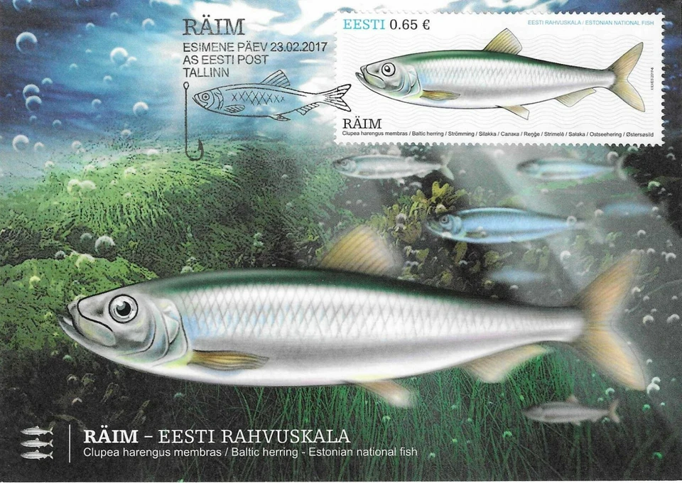 Fishing Baltic Herring National Fish Estonia Estland Mint Maxi FDC Card 2017 - Image 1 of 1