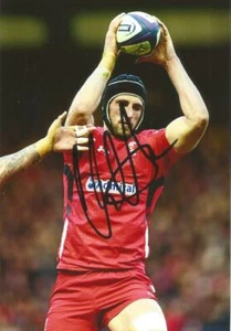 WALES & BATH RUGBY UNION: LUKE CHARTERIS SIGNIERT 6x4 ACTIONFOTO + COA - Bild 1 von 1