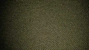 Valdese Weavers Jumber Bramble Army green upholstery fabric 57" width 5yds BTY - Picture 1 of 6