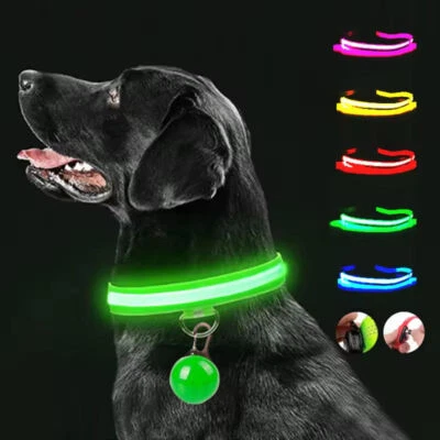 PET LED LIGHT-UP Glow-in-the-dark USB RECHARGEABLE COLLAR Dog Night Safety - Image 1 of 4