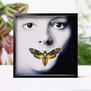 Todeskopf Falkenmotte Schweigen der Lämmer Motte Schmetterling Insekt Käfer Box Rahmen - Bild 1 von 4