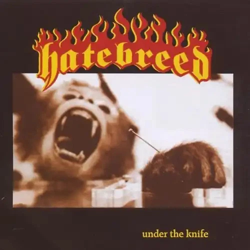 Hatebreed - Under the Knife - Bild 1 von 1