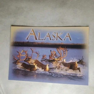Alaskan Caribou Herd w/ Antlers Running Through Water Vintage Souvenir Postcard - Picture 1 of 2