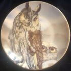 Long Eared Owl & Chick, Asio Otus Collector?s Plate, 6? Diameter Bone China VGC