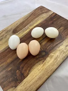 LOTE 5 HUEVOS DE POLLO MARRÓN Y BLANCO DECORACIÓN DE EXHIBICIÓN DE UTILERÍA imitación comida realista - Imagen 1 de 7
