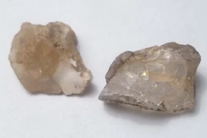 2 Virgin Valley Opal Petrified Wood Specimens Nevada - Picture 1 of 6